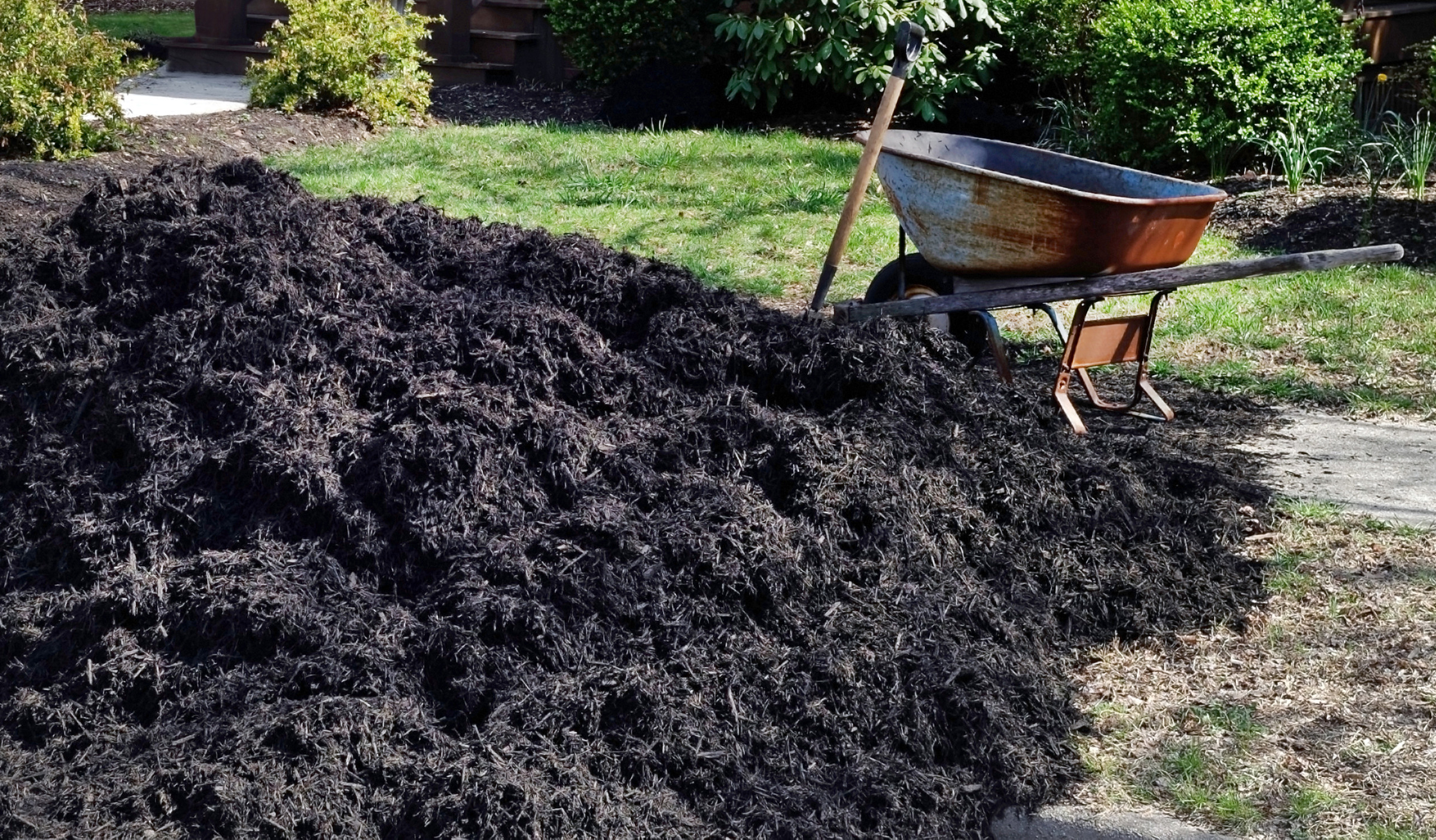Mulch pile beside a wheelbarrow and shovel in a residential yard